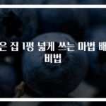 작은 집 1평 넓게 쓰는 마법 배치 비법