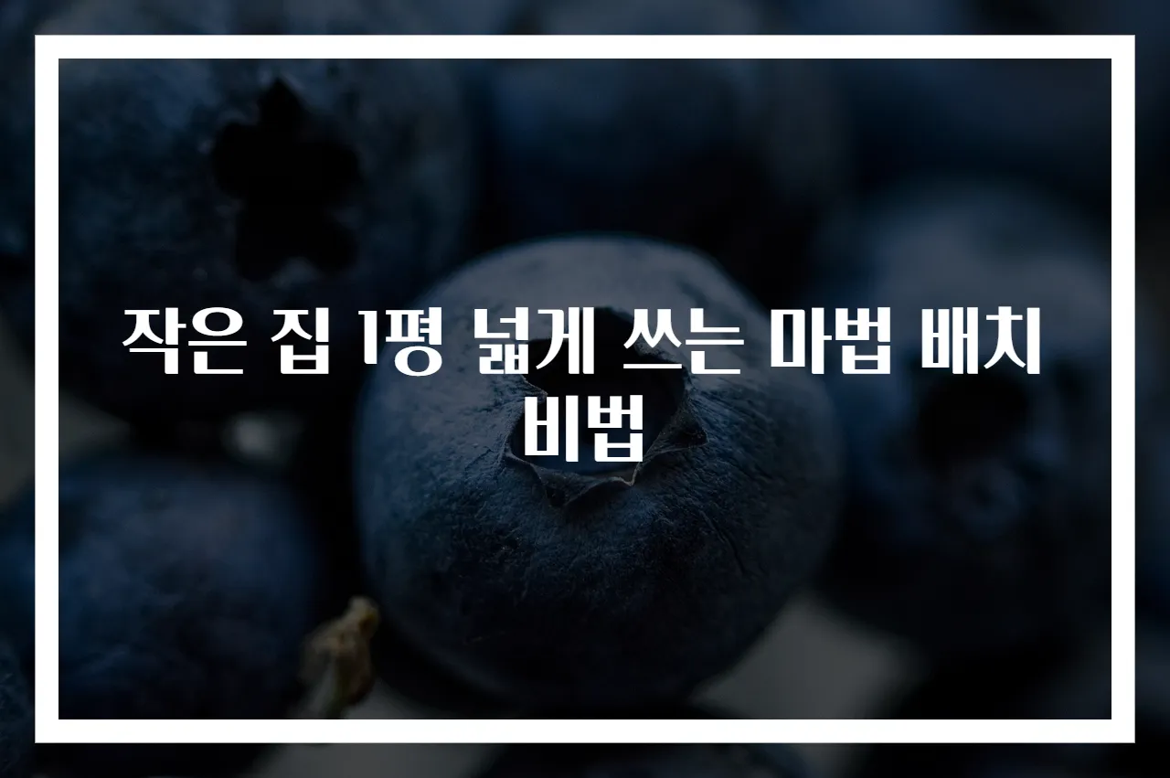 작은 집 1평 넓게 쓰는 마법 배치 비법