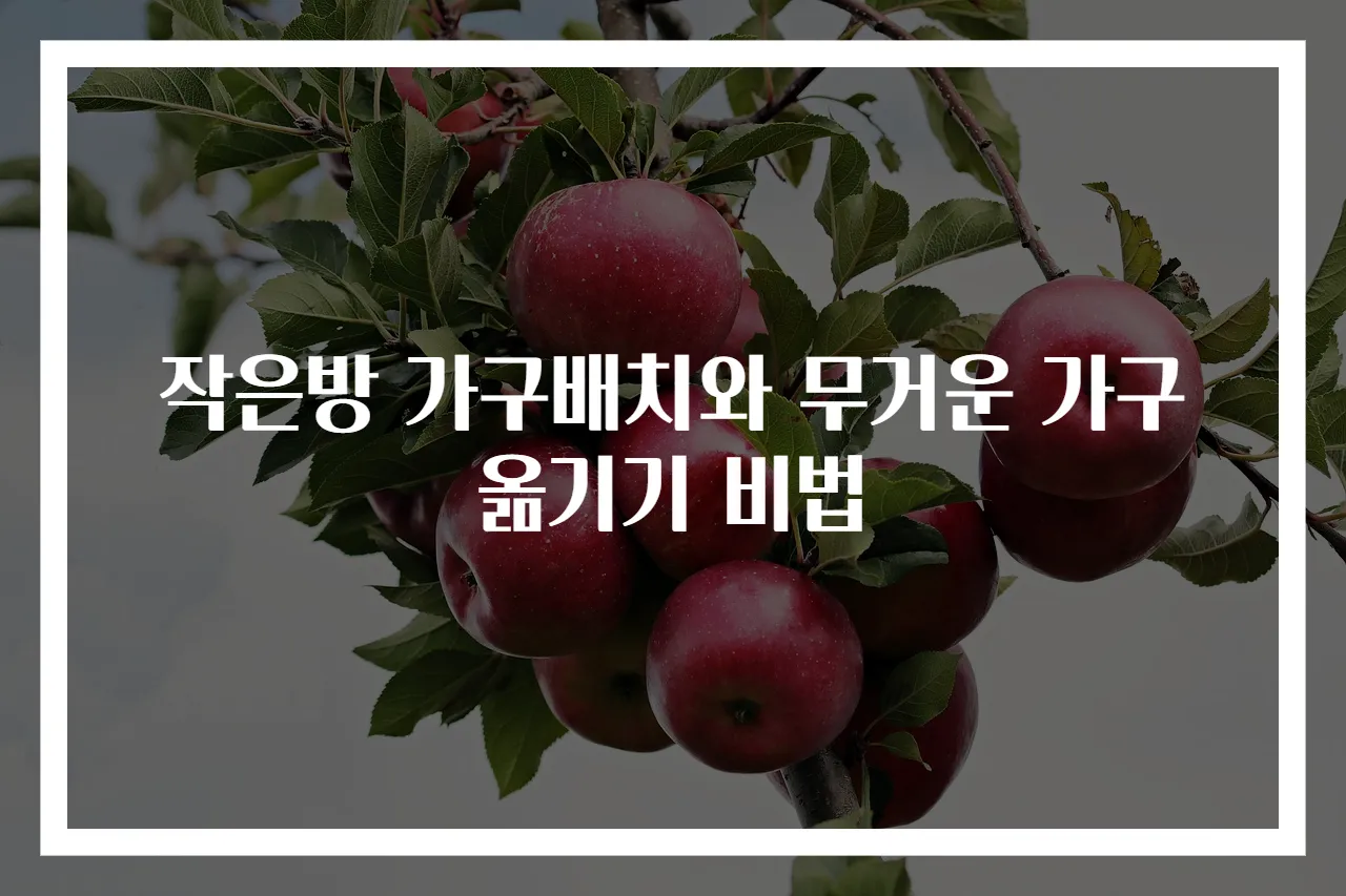 작은방 가구배치와 무거운 가구 옮기기 비법