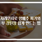 전자레인지로 양배추 찌기와 두부 강된장 쉽게 만드는 법