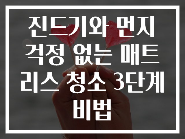 진드기와 먼지 걱정 없는 매트리스 청소 3단계 비법