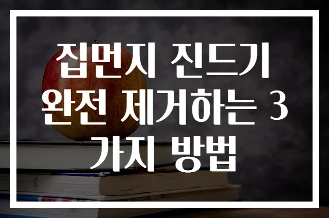 집먼지 진드기 완전 제거하는 3가지 방법