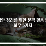 집안 정리를 위한 문짝 활용 노하우 5가지