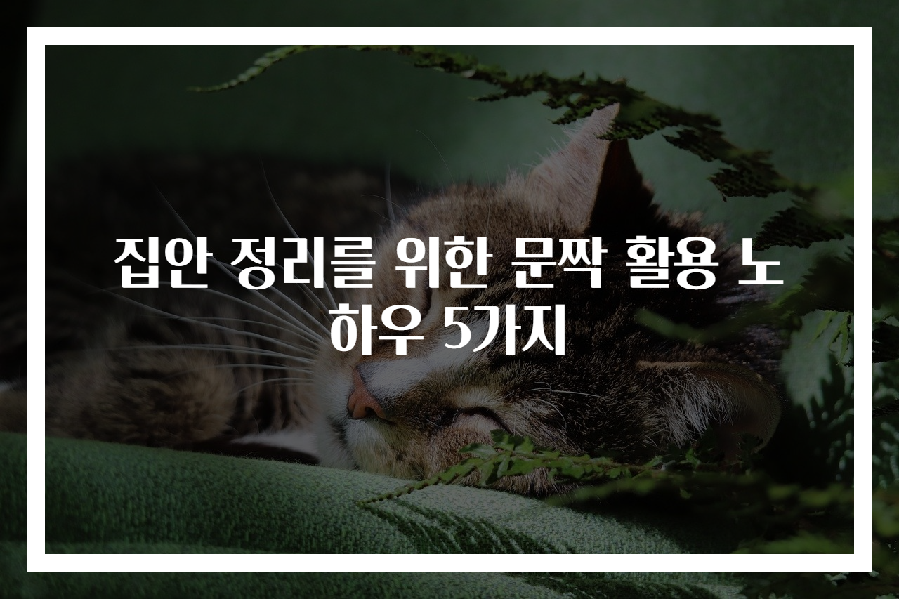 집안 정리를 위한 문짝 활용 노하우 5가지