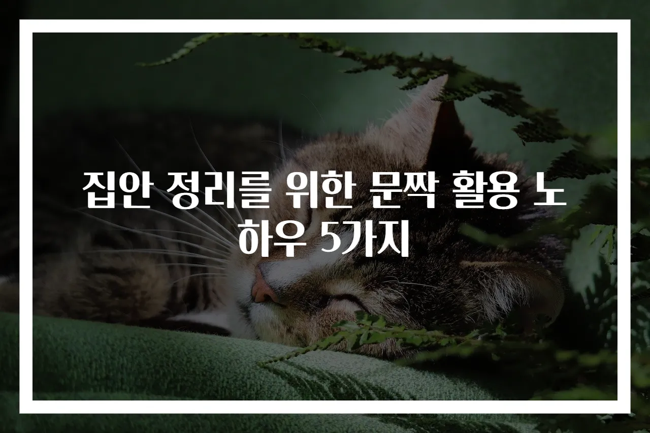 집안 정리를 위한 문짝 활용 노하우 5가지