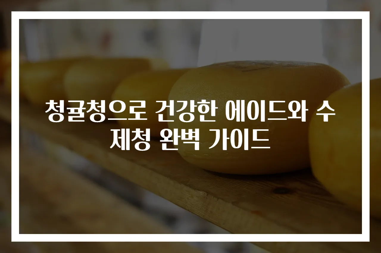 청귤청으로 건강한 에이드와 수제청 완벽 가이드