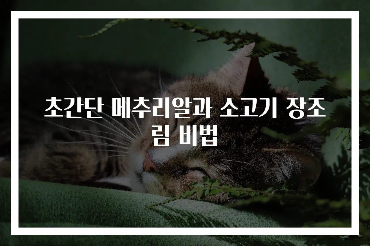 초간단 메추리알과 소고기 장조림 비법