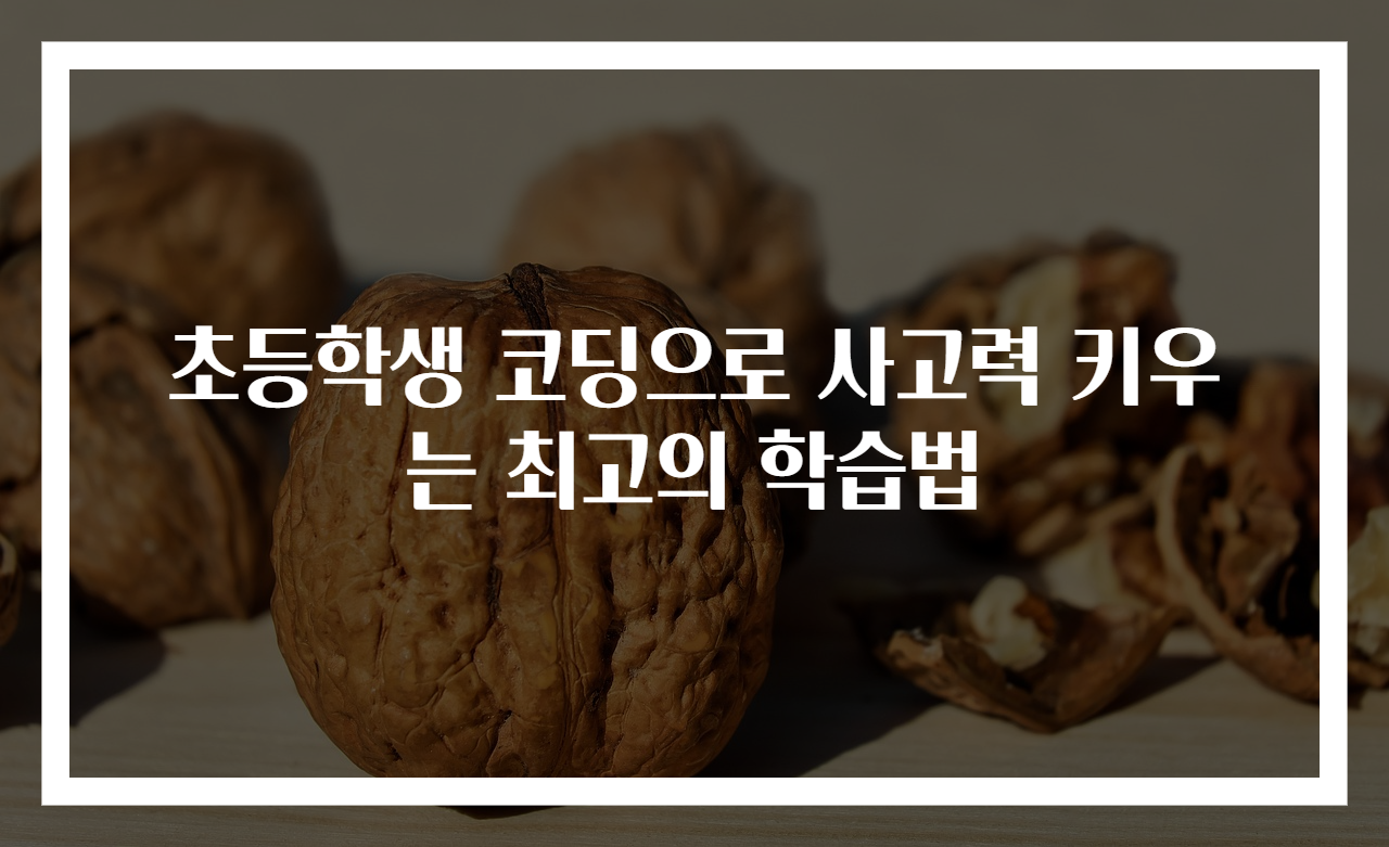초등학생 코딩으로 사고력 키우는 최고의 학습법