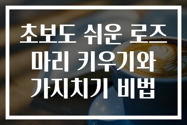 초보도 쉬운 로즈마리 키우기와 가지치기 비법