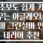 초보도 쉽게 키우는 아글레오네마 그린실버 인테리어 추천