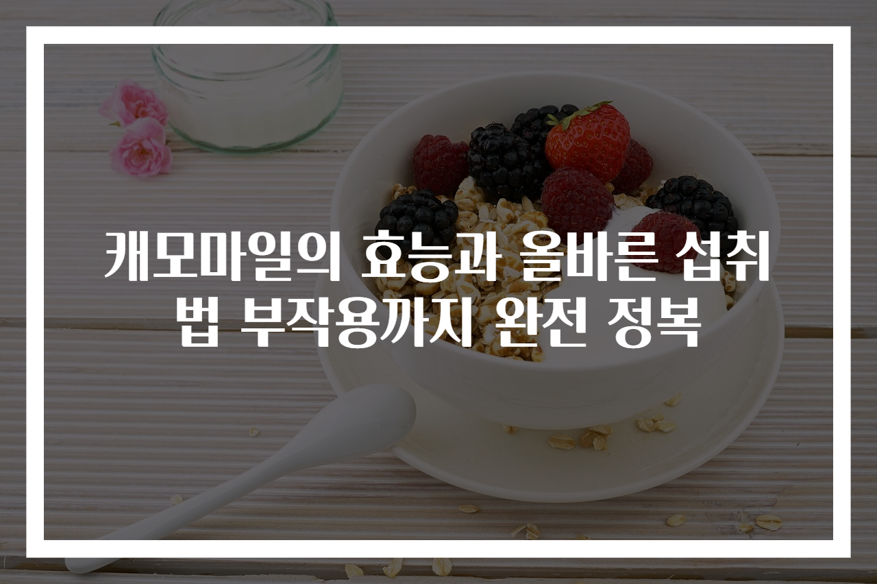 캐모마일의 효능과 올바른 섭취법 부작용까지 완전 정복