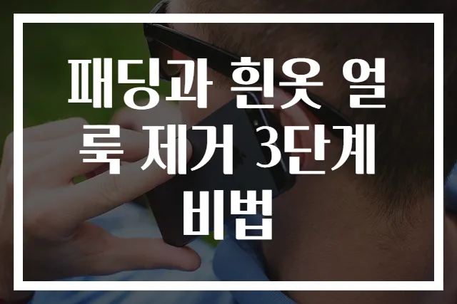 패딩과 흰옷 얼룩 제거 3단계 비법