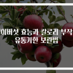 팽이버섯 효능과 칼로리 부작용 유통기한 보관법