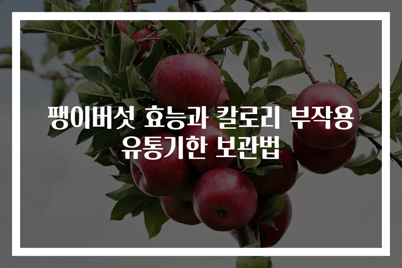 팽이버섯 효능과 칼로리 부작용 유통기한 보관법