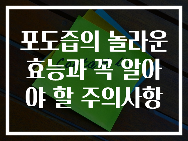 포도즙의 놀라운 효능과 꼭 알아야 할 주의사항