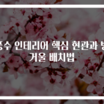 풍수 인테리어 핵심 현관과 방 거울 배치법