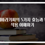 해바라기씨의 5가지 효능과 부작용 이해하기