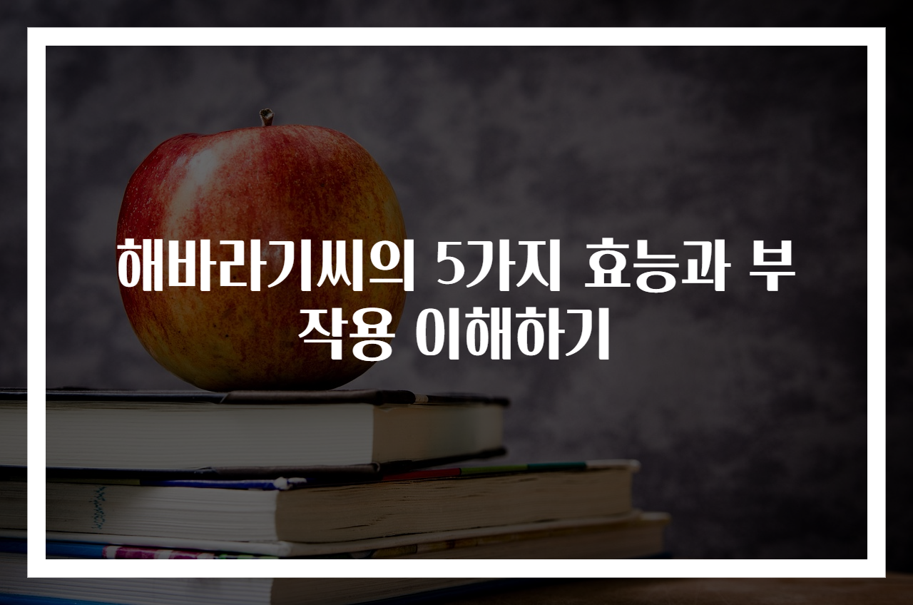 해바라기씨의 5가지 효능과 부작용 이해하기