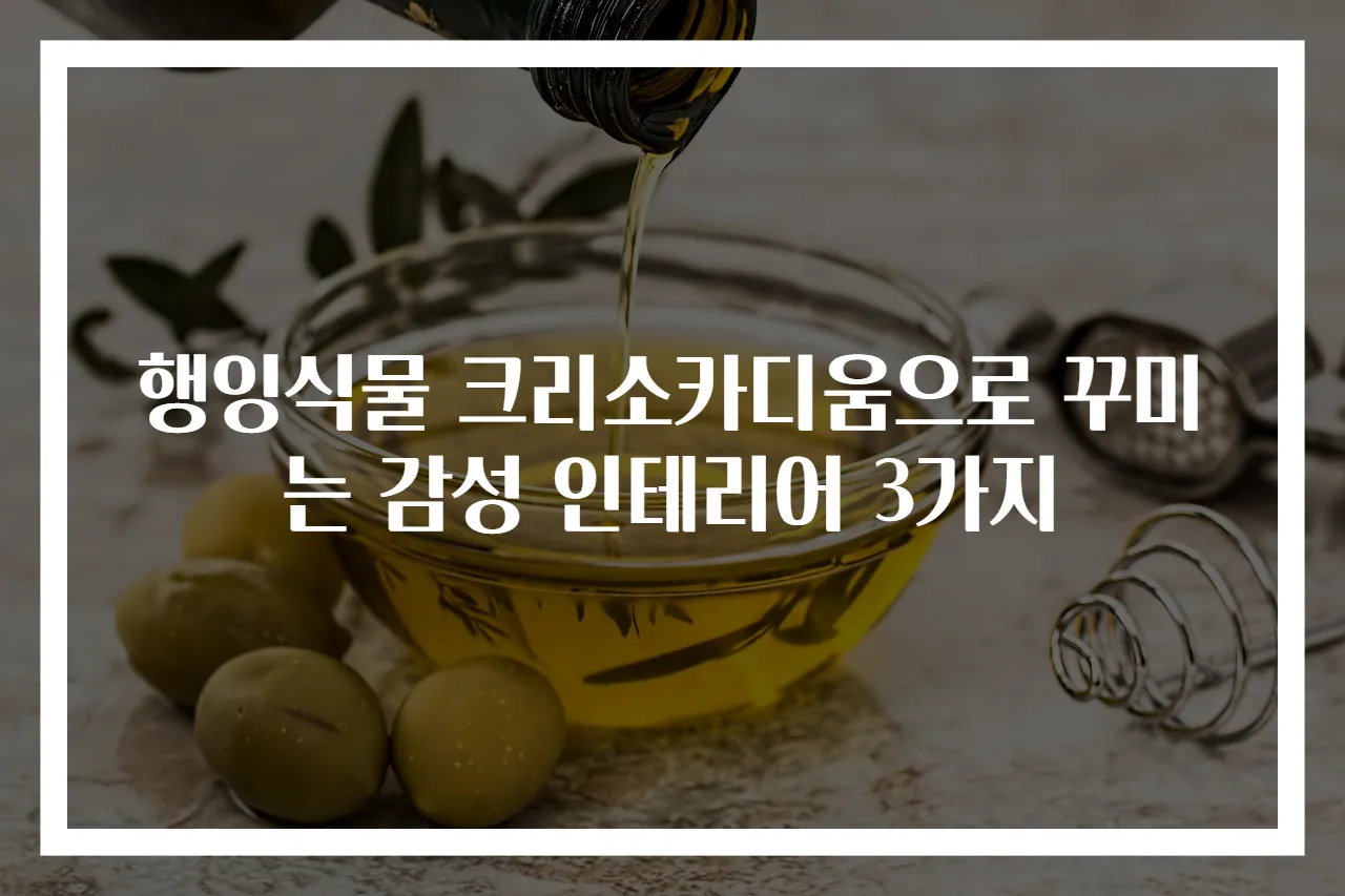 행잉식물 크리소카디움으로 꾸미는 감성 인테리어 3가지