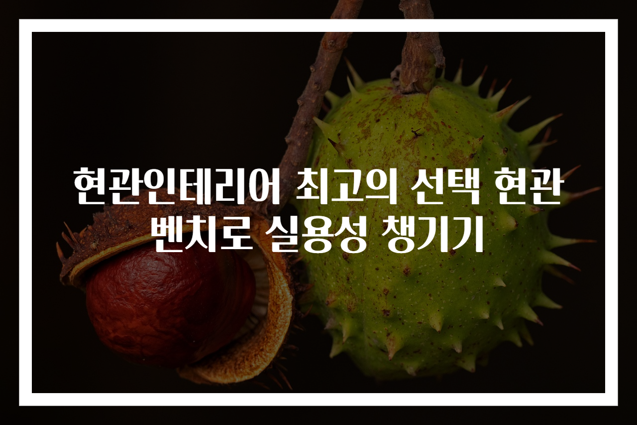 현관인테리어 최고의 선택 현관벤치로 실용성 챙기기