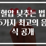 혈압 낮추는 법 5가지 최고의 음식 공개
