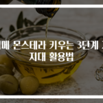 히메 몬스테라 키우는 3단계 지지대 활용법