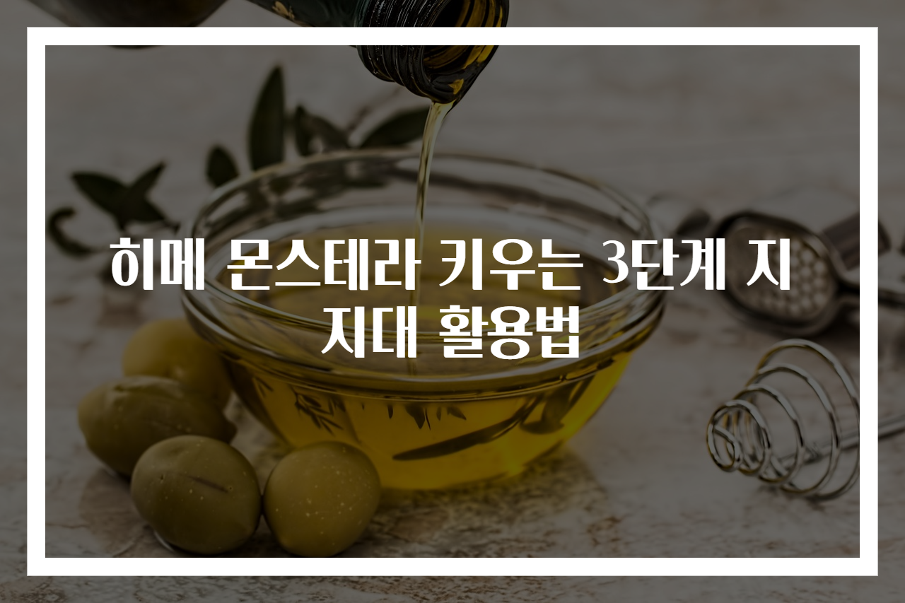 히메 몬스테라 키우는 3단계 지지대 활용법