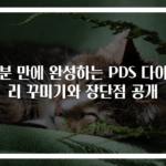 10분 만에 완성하는 PDS 다이어리 꾸미기와 장단점 공개