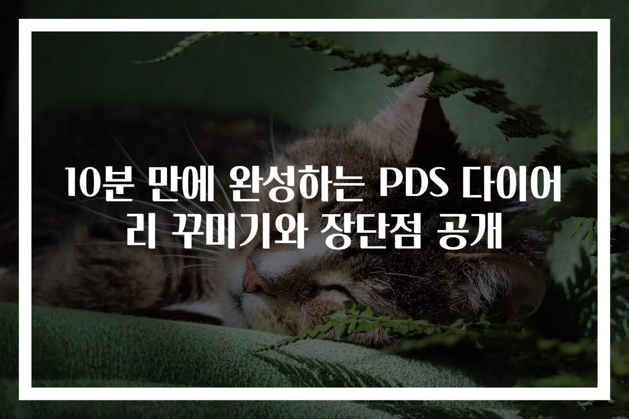 10분 만에 완성하는 PDS 다이어리 꾸미기와 장단점 공개