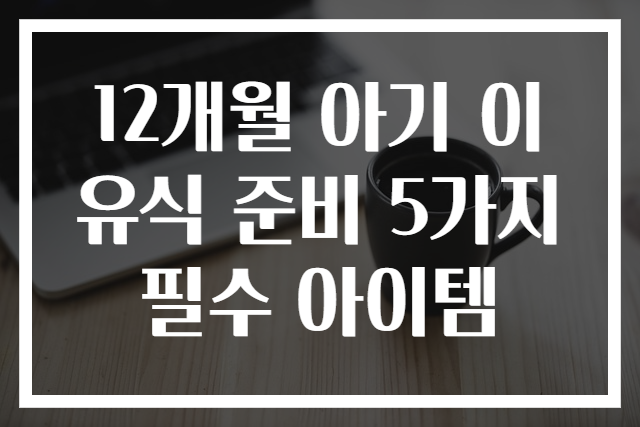 12개월 아기 이유식 준비 5가지 필수 아이템