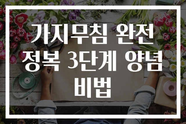 가지무침 완전 정복 3단계 양념 비법