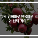 강마루 강화마루 원목마루 비교와 선택 가이드