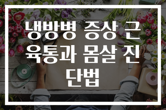 냉방병 증상 근육통과 몸살 진단법