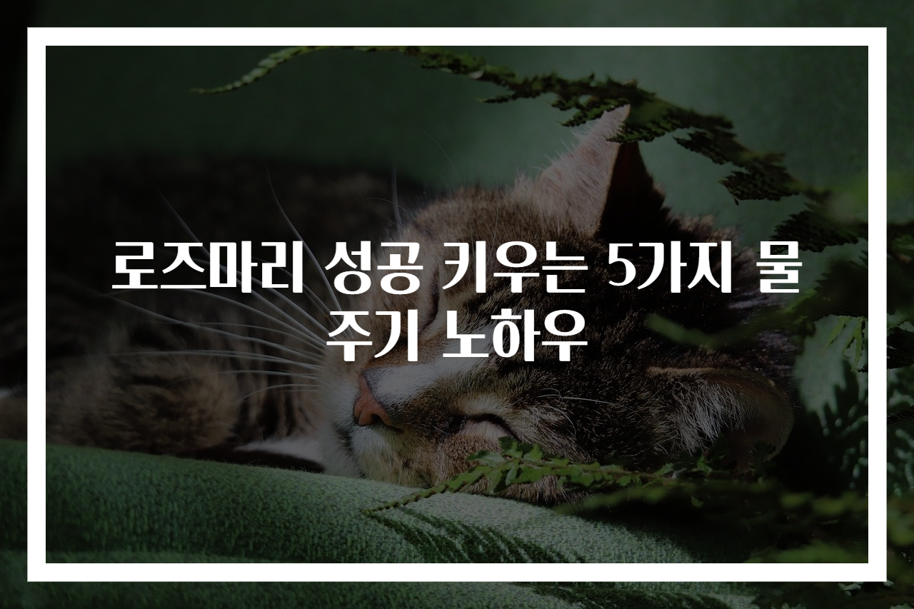 로즈마리 성공 키우는 5가지 물주기 노하우