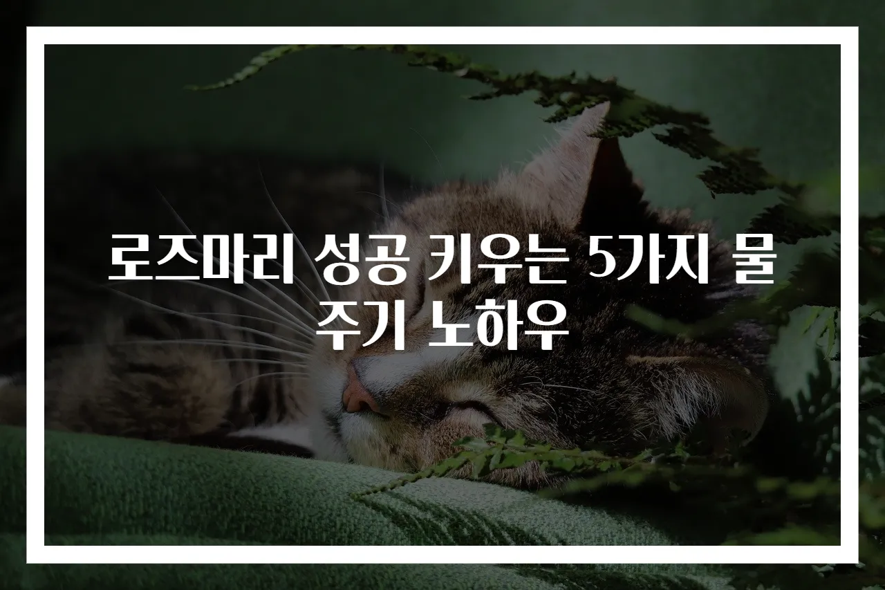 로즈마리 성공 키우는 5가지 물주기 노하우
