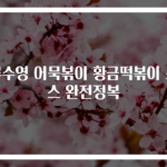 류수영 어묵볶이 황금떡볶이 소스 완전정복