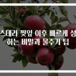 몬스테라 찢잎 이후 빠르게 성장하는 비밀과 물주기 팁