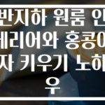 반지하 원룸 인테리어와 홍콩야자 키우기 노하우