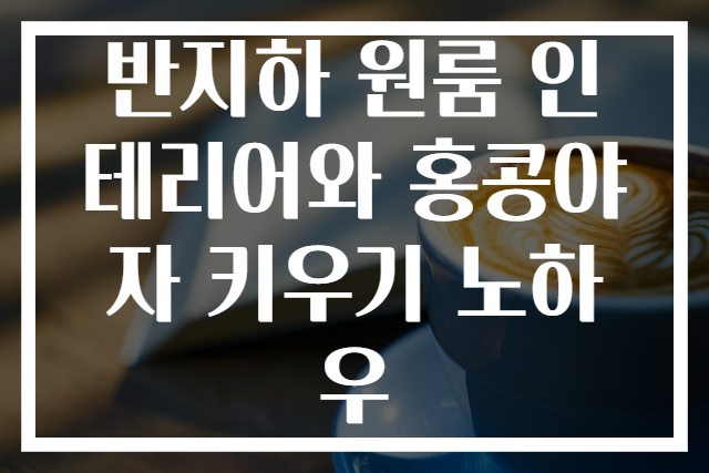 반지하 원룸 인테리어와 홍콩야자 키우기 노하우