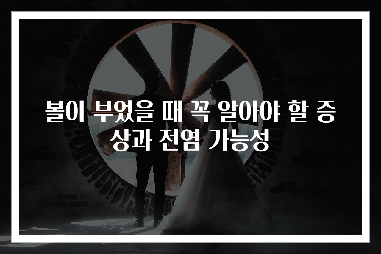 볼이 부었을 때 꼭 알아야 할 증상과 전염 가능성