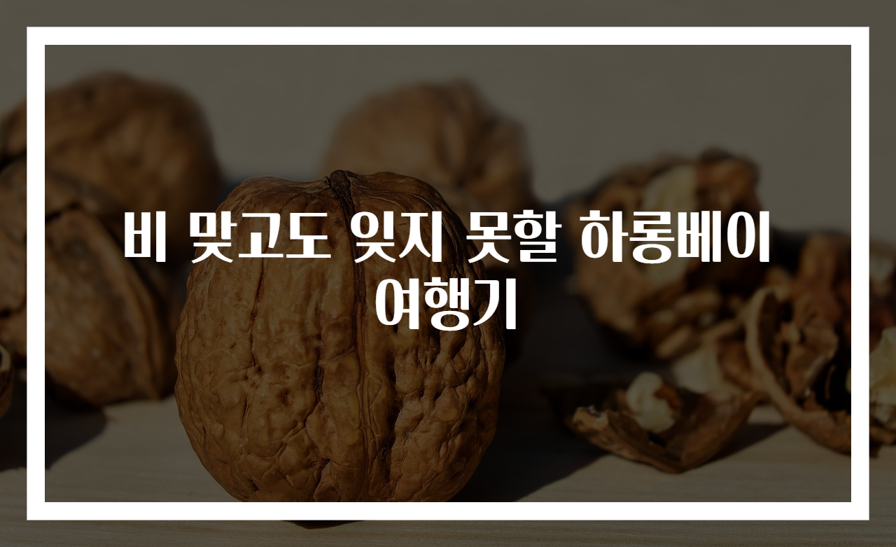 비 맞고도 잊지 못할 하롱베이 여행기