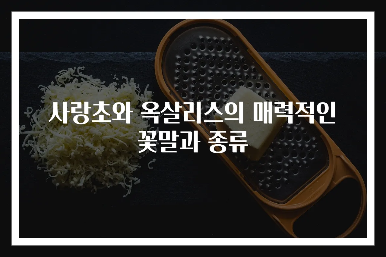 사랑초와 옥살리스의 매력적인 꽃말과 종류