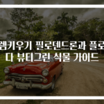 셀렘키우기 필로덴드론과 플로리다 뷰티그린 식물 가이드