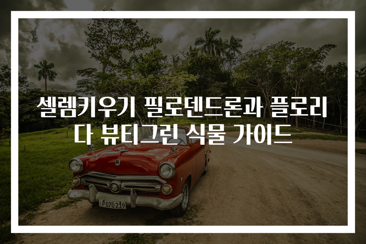 셀렘키우기 필로덴드론과 플로리다 뷰티그린 식물 가이드