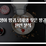 신생아 방귀 냄새와 잦은 방귀의 원인 분석