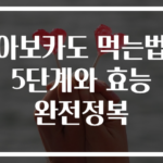 아보카도 먹는법 5단계와 효능 완전정복