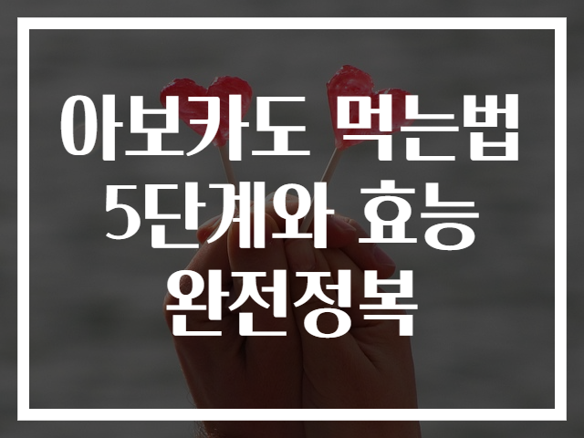 아보카도 먹는법 5단계와 효능 완전정복