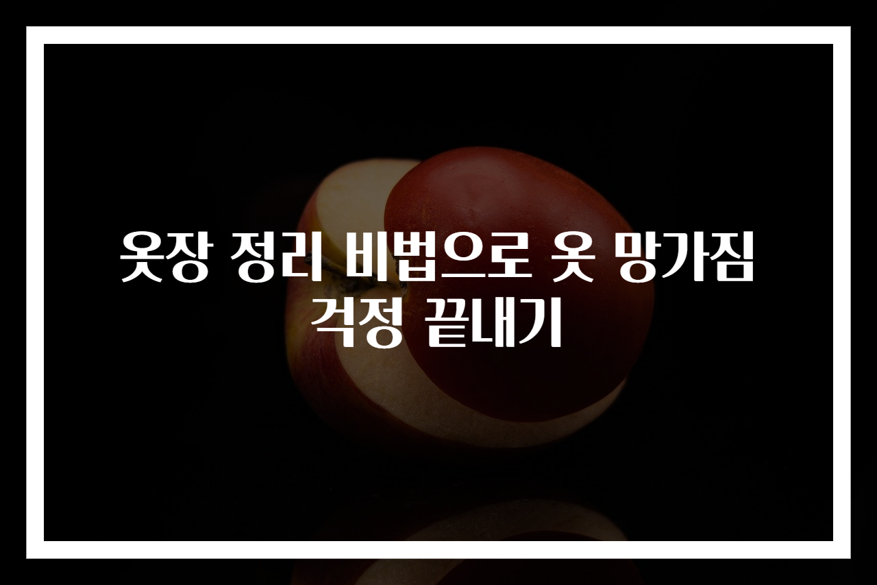 옷장 정리 비법으로 옷 망가짐 걱정 끝내기