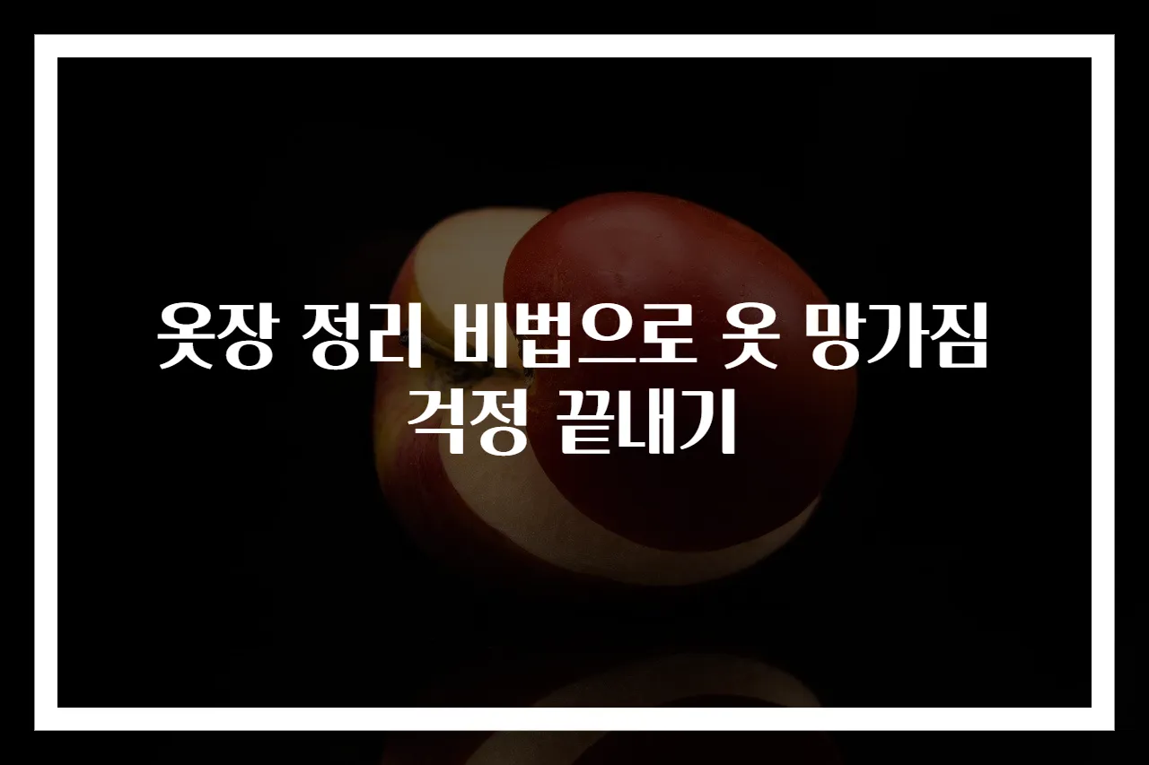 옷장 정리 비법으로 옷 망가짐 걱정 끝내기