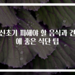 임신초기 피해야 할 음식과 건강에 좋은 식단 팁